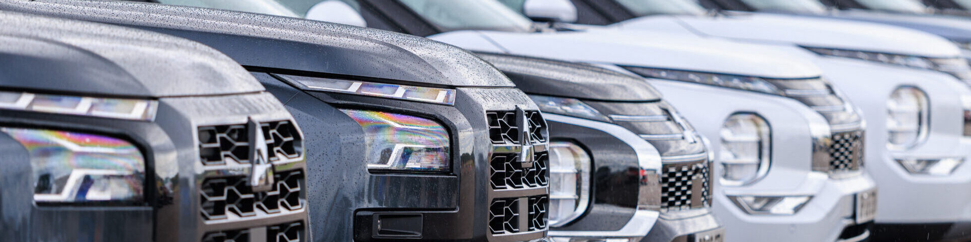 Mitsubishi Business & Fleet Users