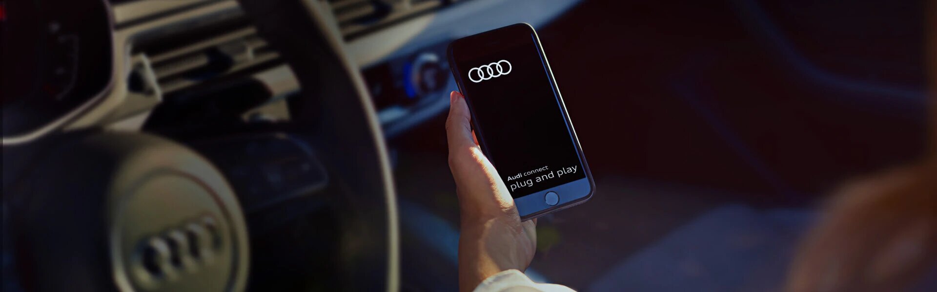 Audi Connect Plug & Play