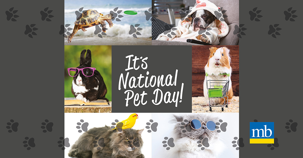 National Pet Day Winner Announced