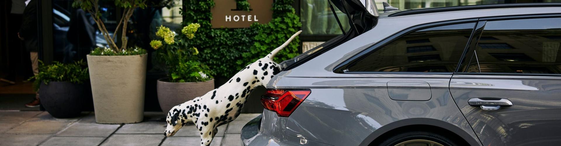 Audi Parts and Accessories