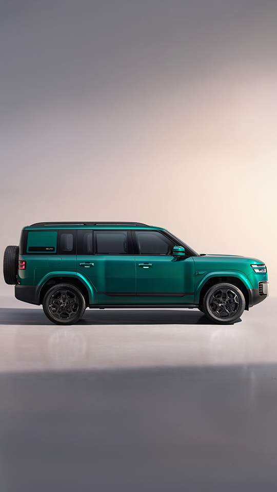 Ti 7 DM-p