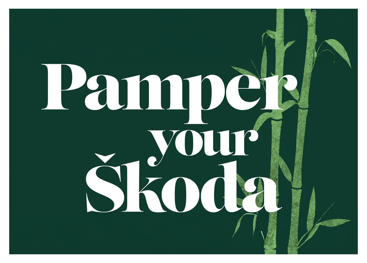 pamper your skoda
