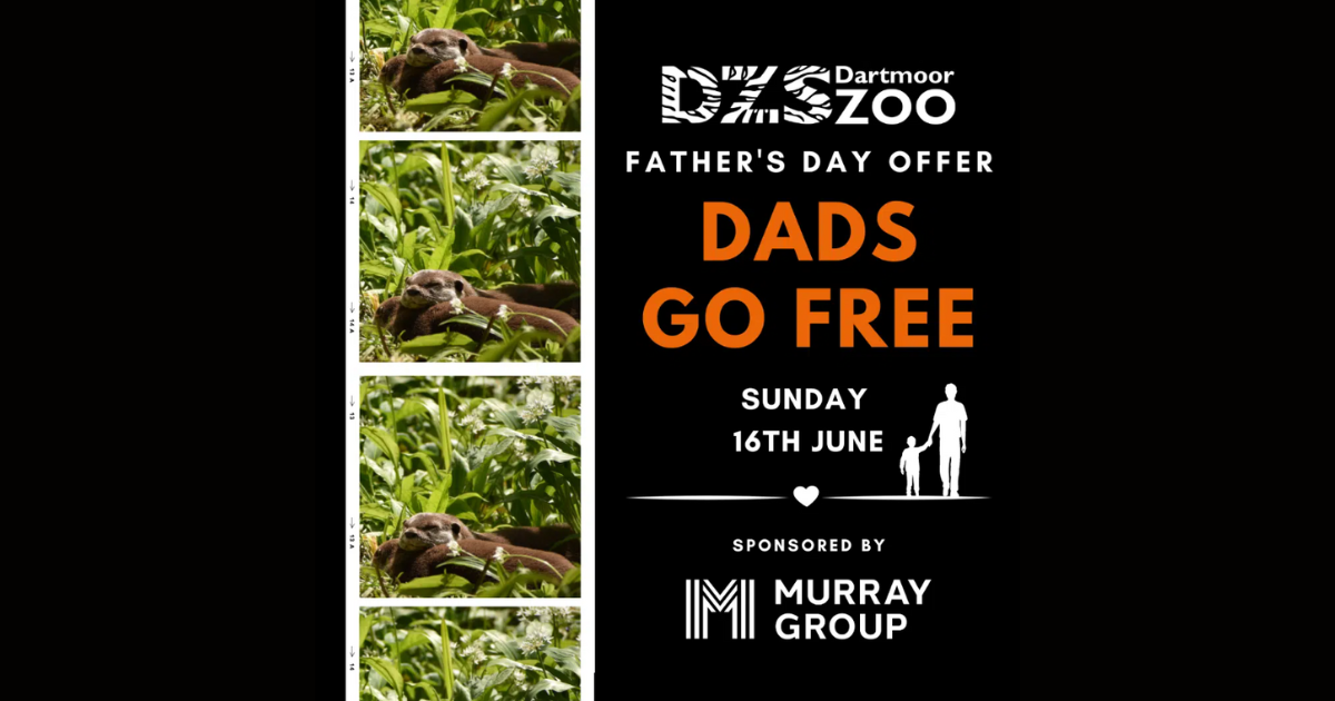Father’s Day: Dads go free to Dartmoor Zoo!