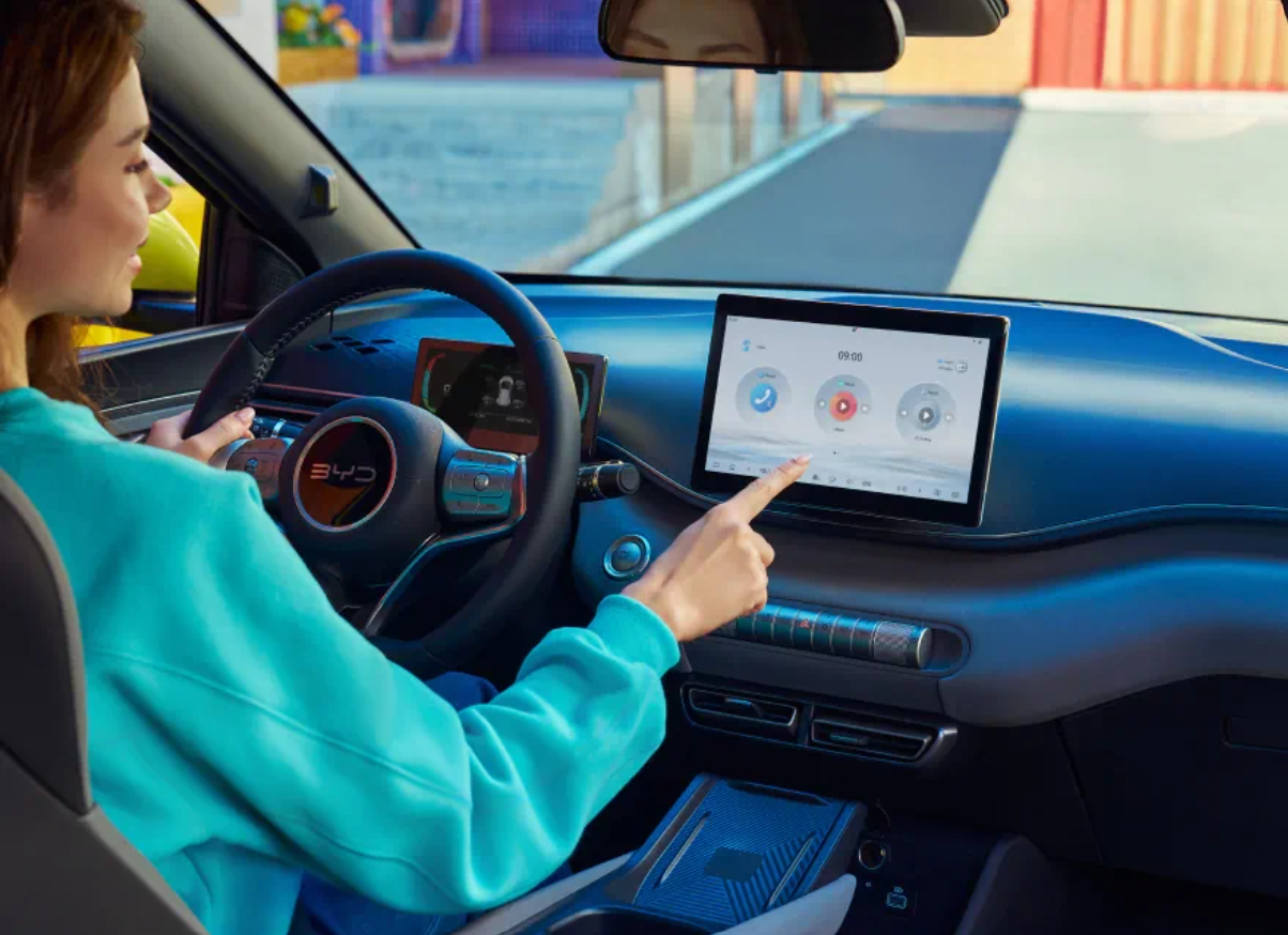  DOLPHIN SURF