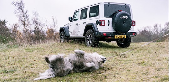 Jeep Mission To Find Muddiest Dog