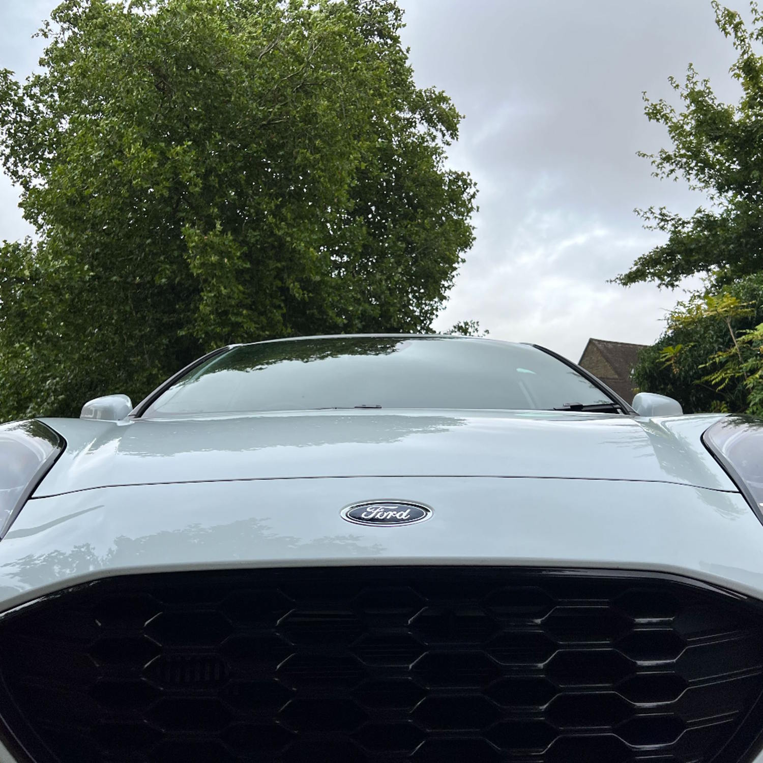 uplclose of ford logo