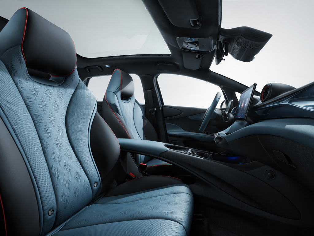 BYD Dolphin Seats