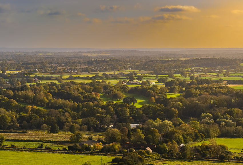 Box Hill