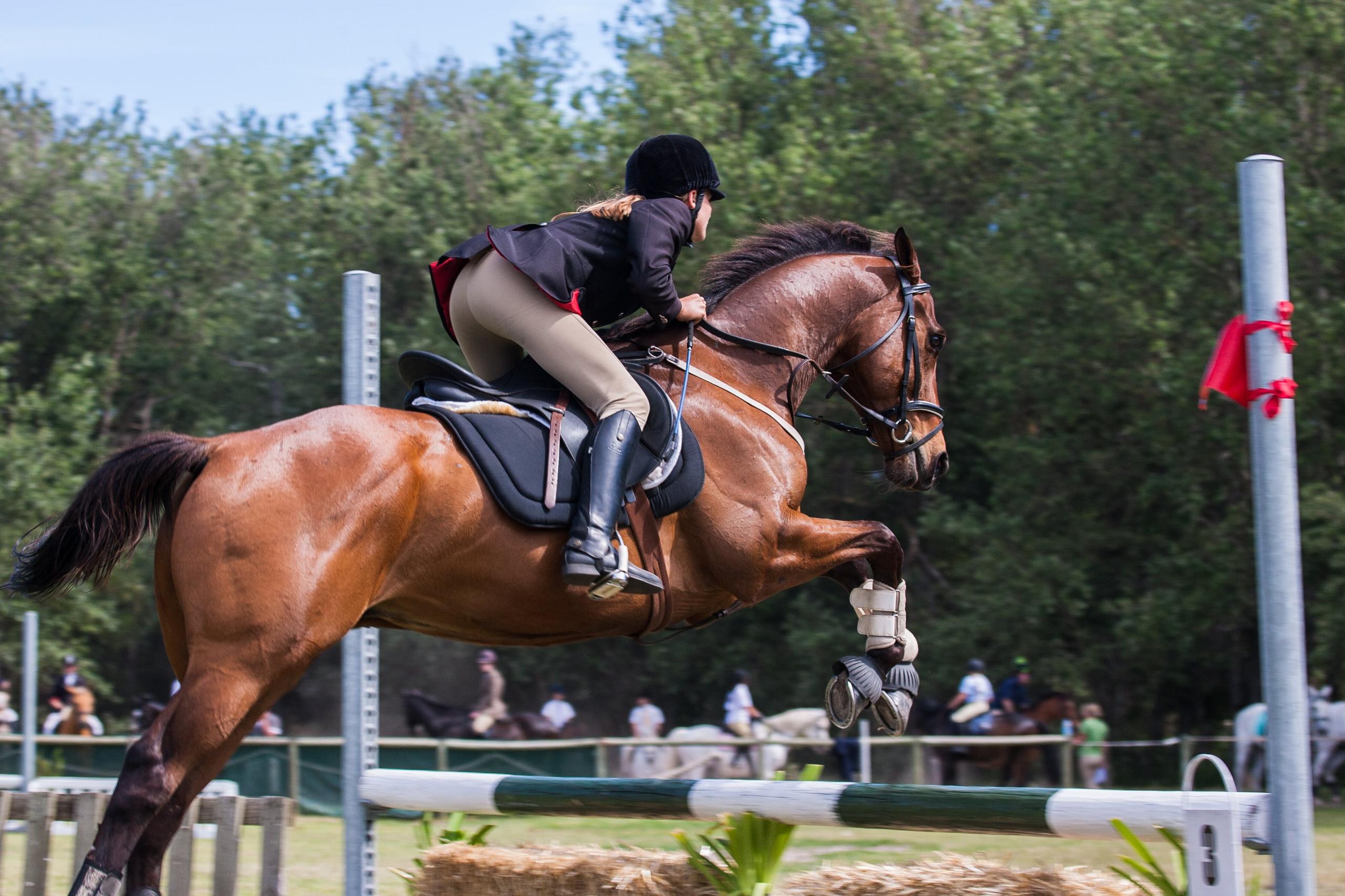Equestrian Finance