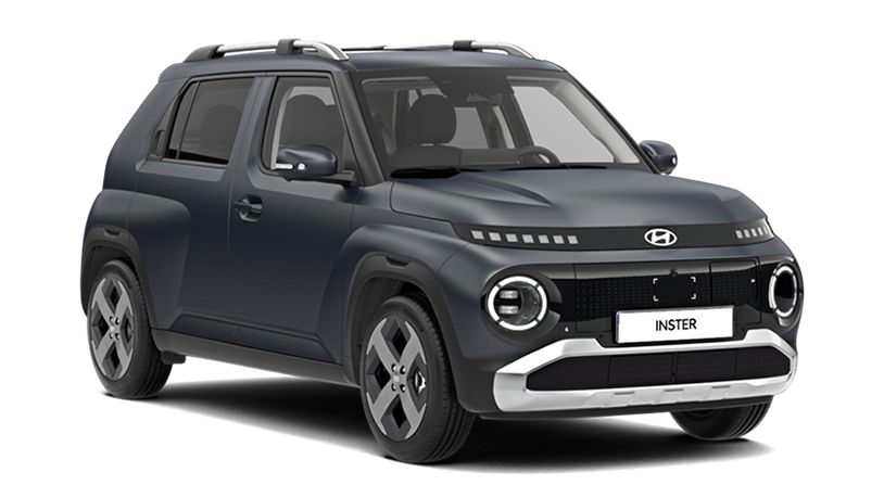 INSTER 01 42kWh