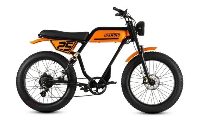 Trionfale 250W Road Legal eBike