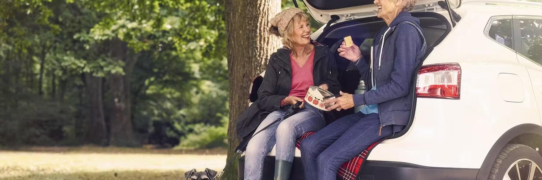 GREAT ACCESSIBLE DAYS OUT