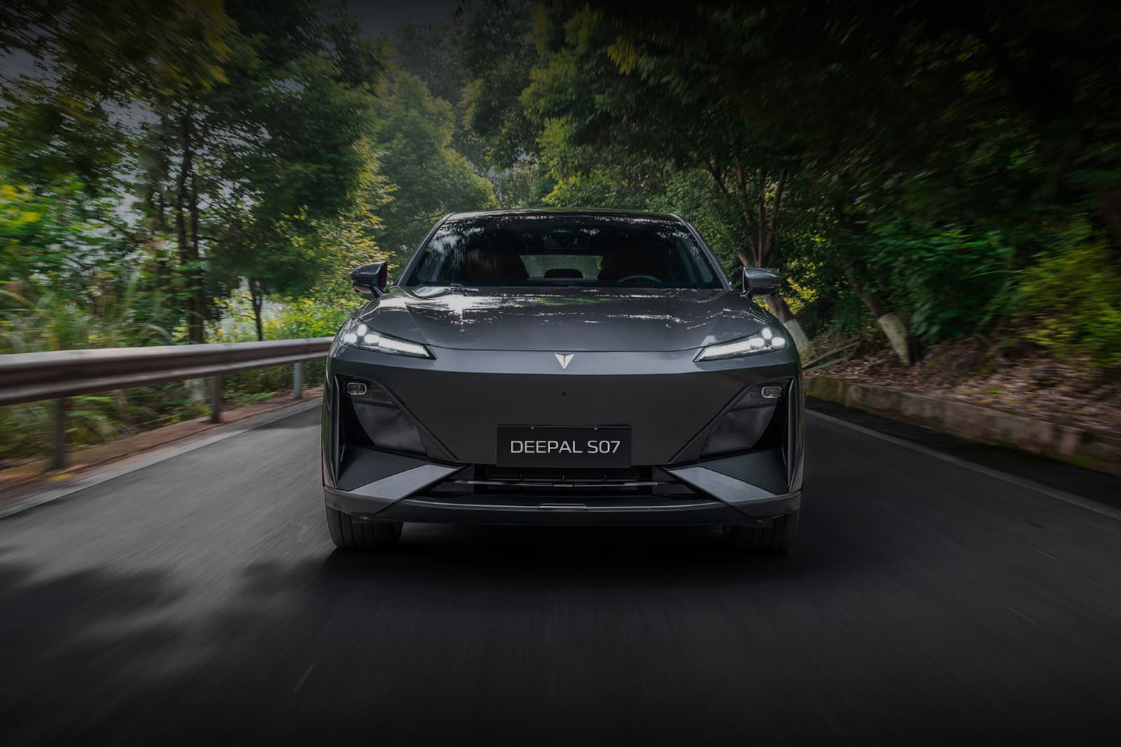 car being driven through the woods