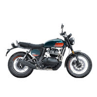 Bear 650