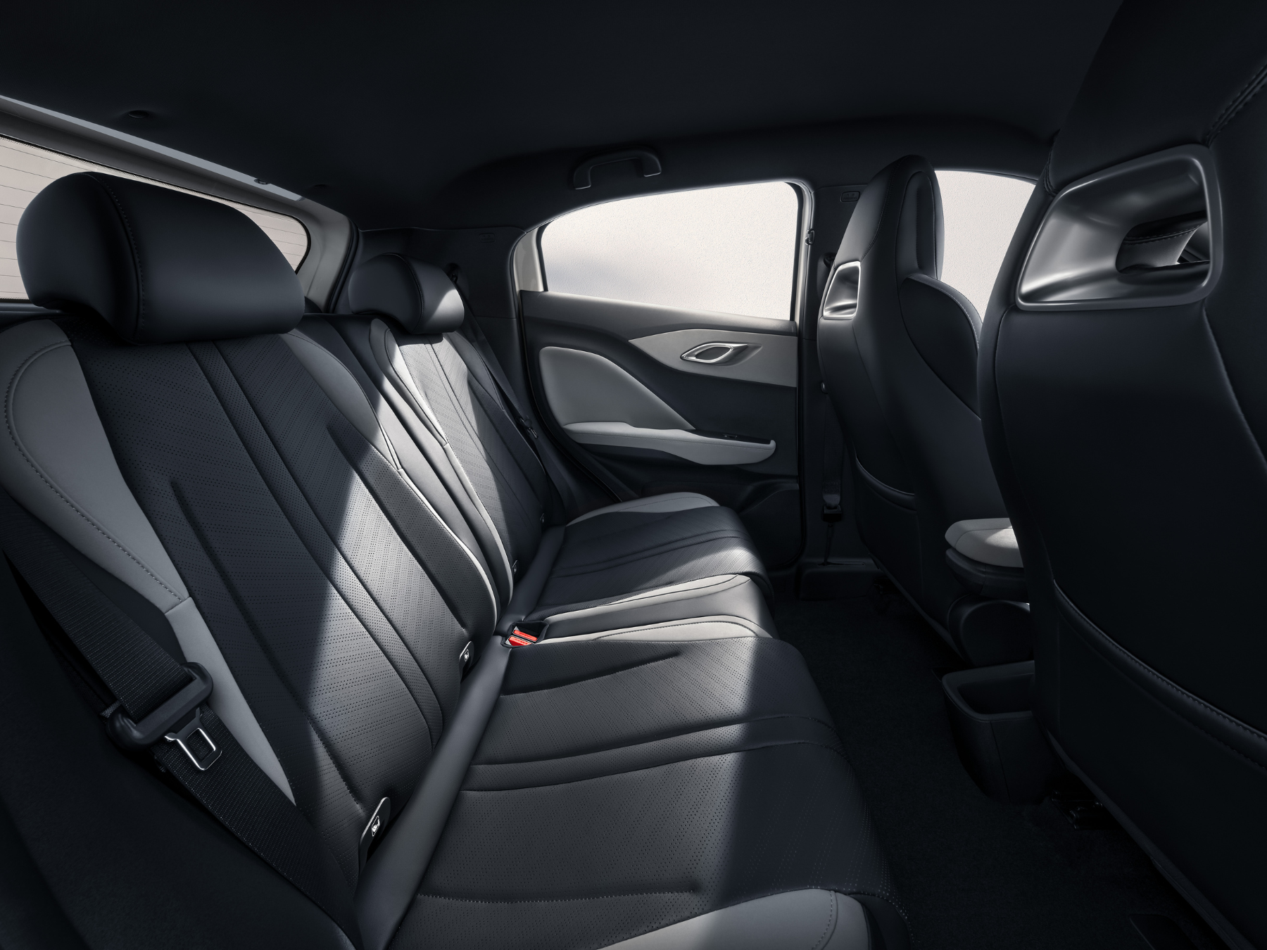 BYD Dolphin Rear Seats