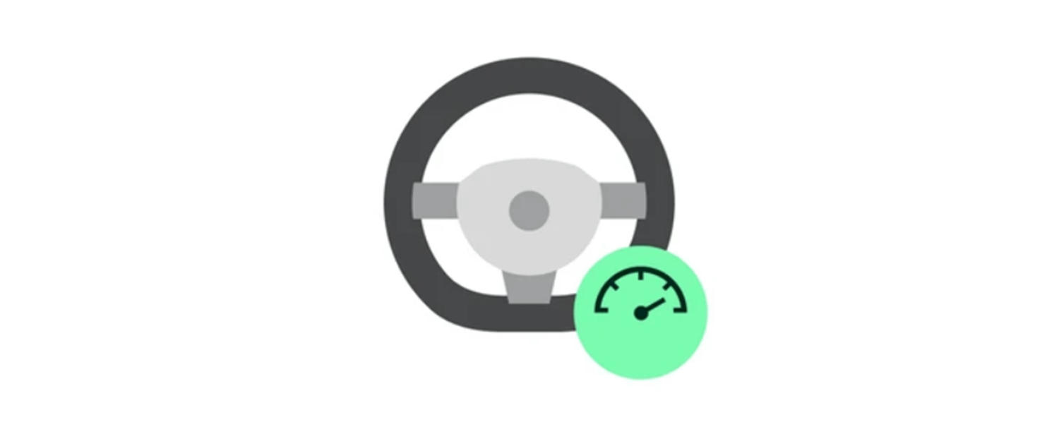 Steering Wheel and Fuel Gauge