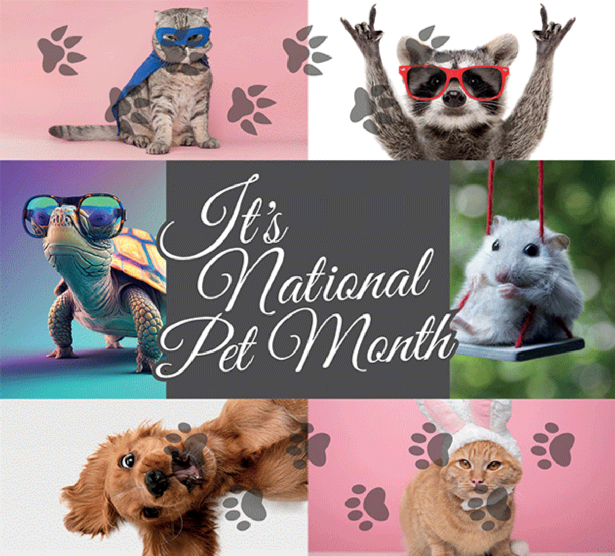 Pet Competition Winner is announced