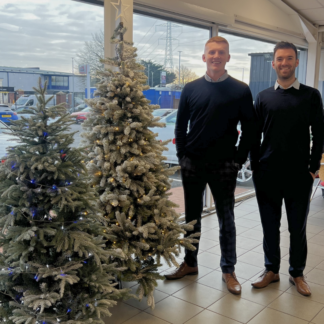 Lisburn Christmas trees