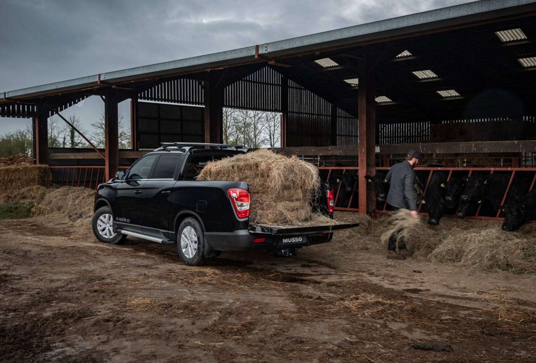 Black KGM Musso farmer using for hay collection