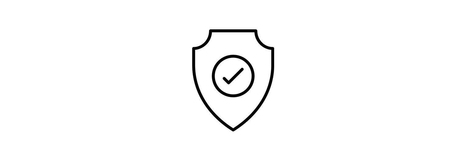 Shield with a tick on it icon
