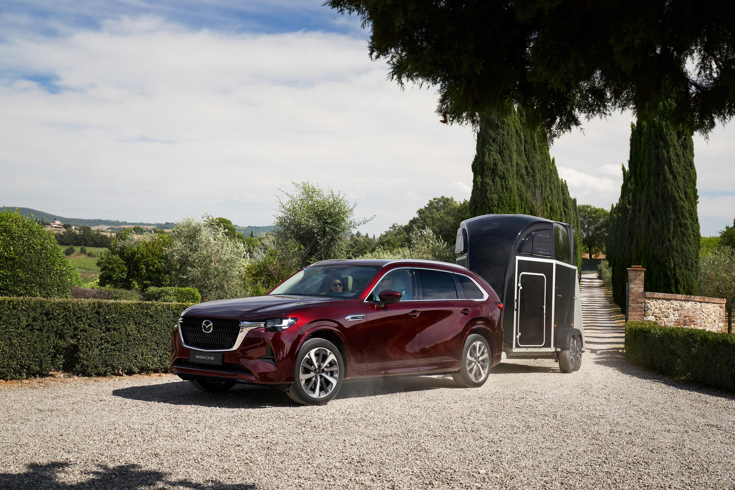 CX-80