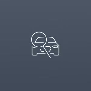 Car check icon