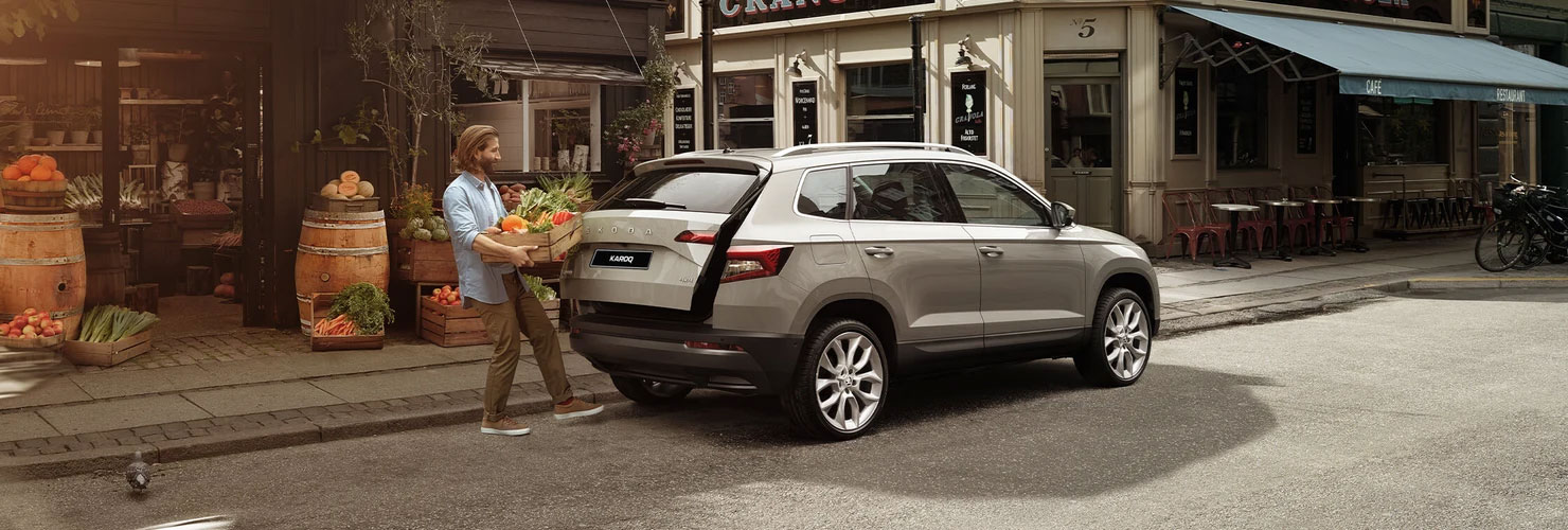 Skoda All In