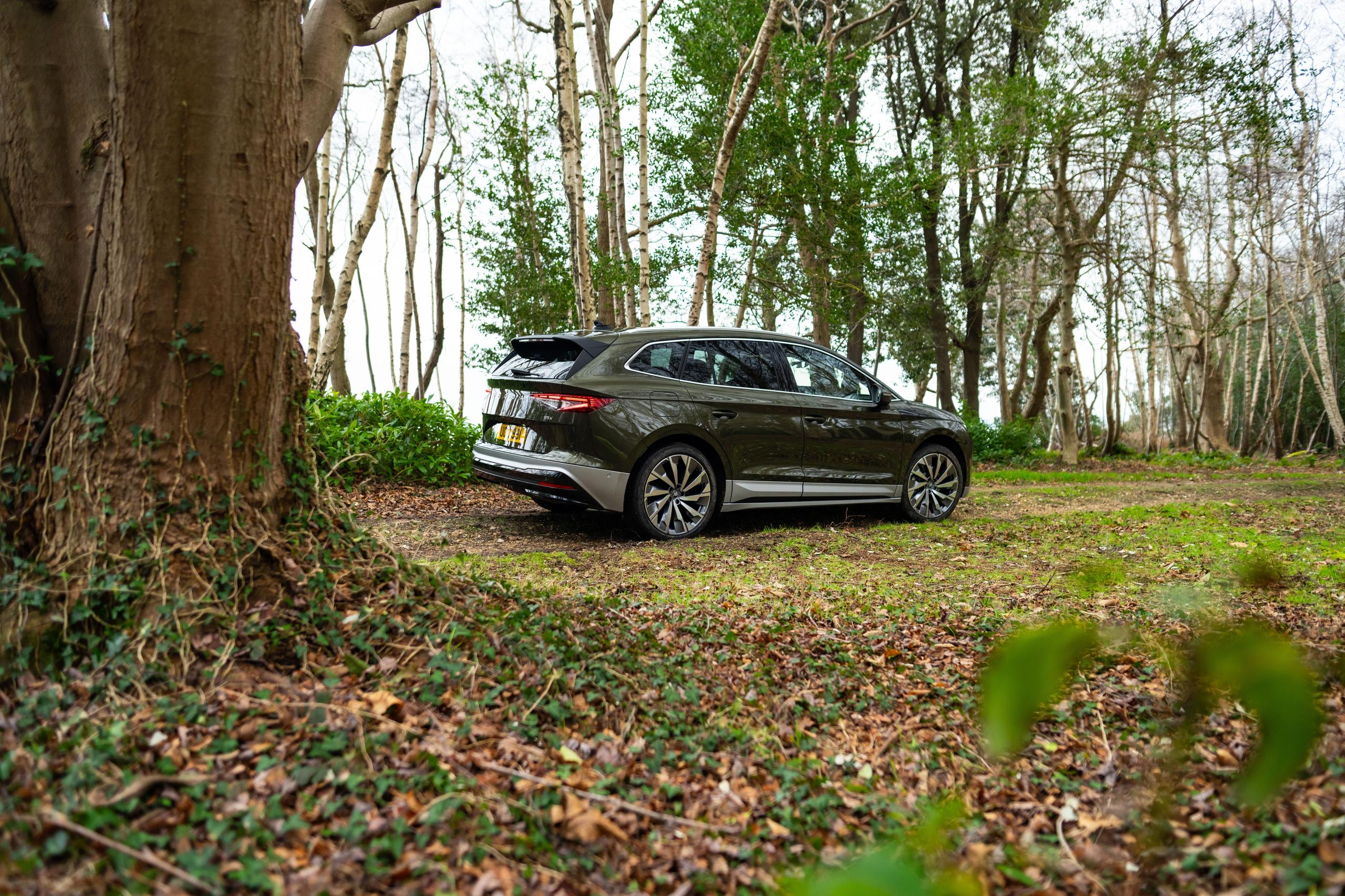 SKODA Enyaq In the woods