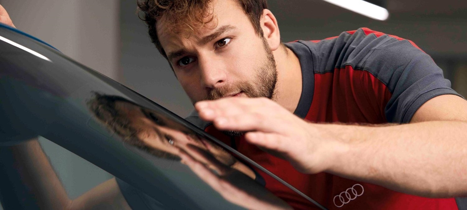 Mechanic Inspecting Vehicle