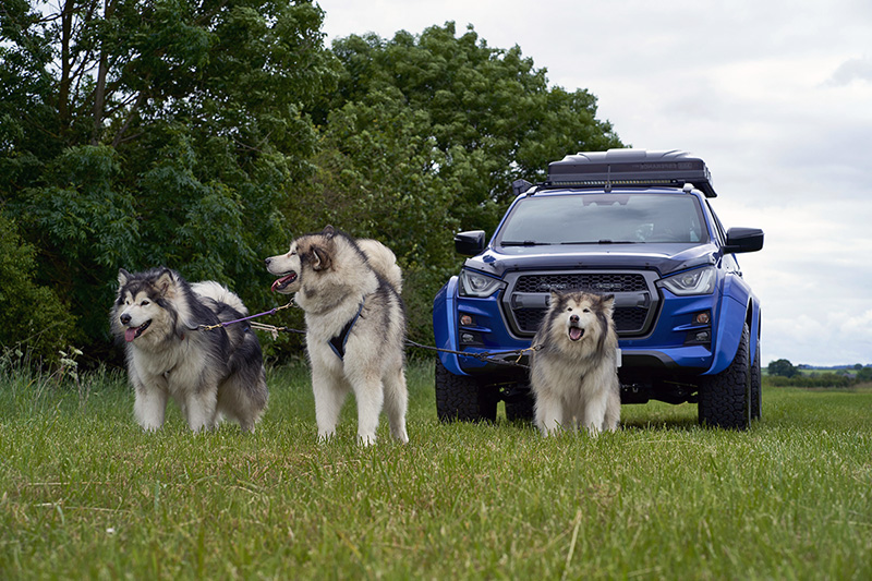 FJ Chalke & Vale Motors Isuzu Sponsors World Sleddog Dryland World Championship 2024
