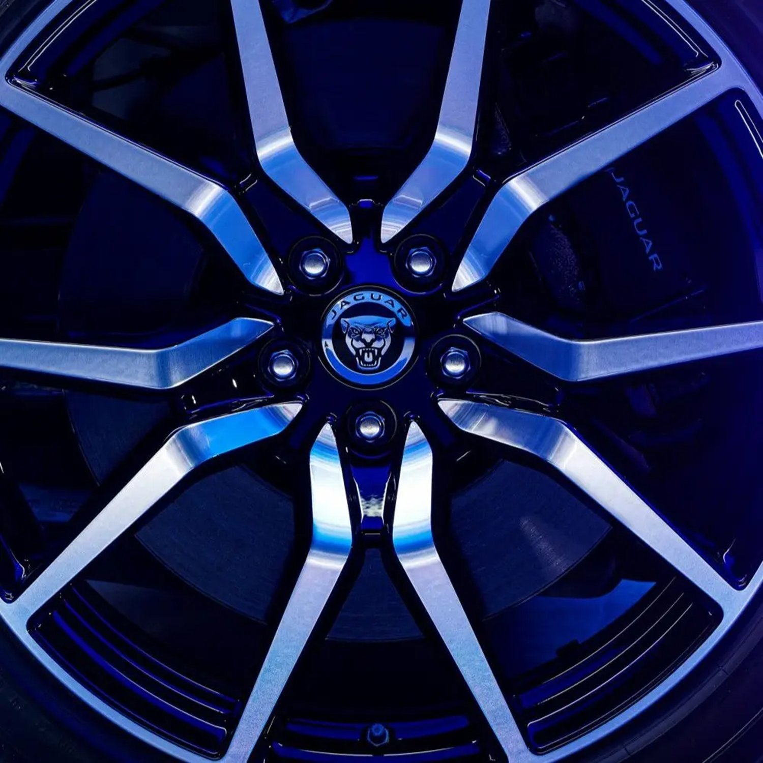 Jaguar alloy