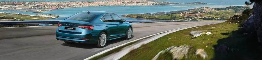 Blue SKODA OCTAVIA rear side view