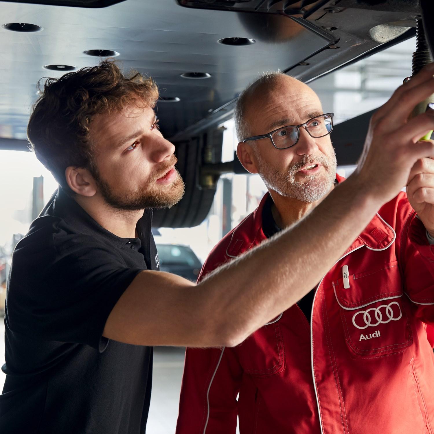 Audi Health Check