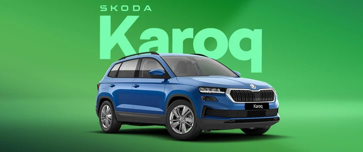 Blue SKODA Karoq Exterior