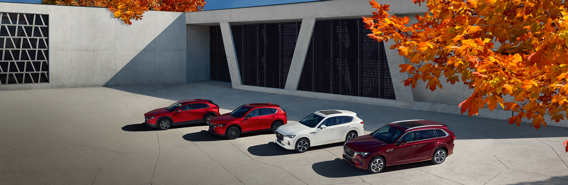 Range of mazda car models parked outsides modern building.