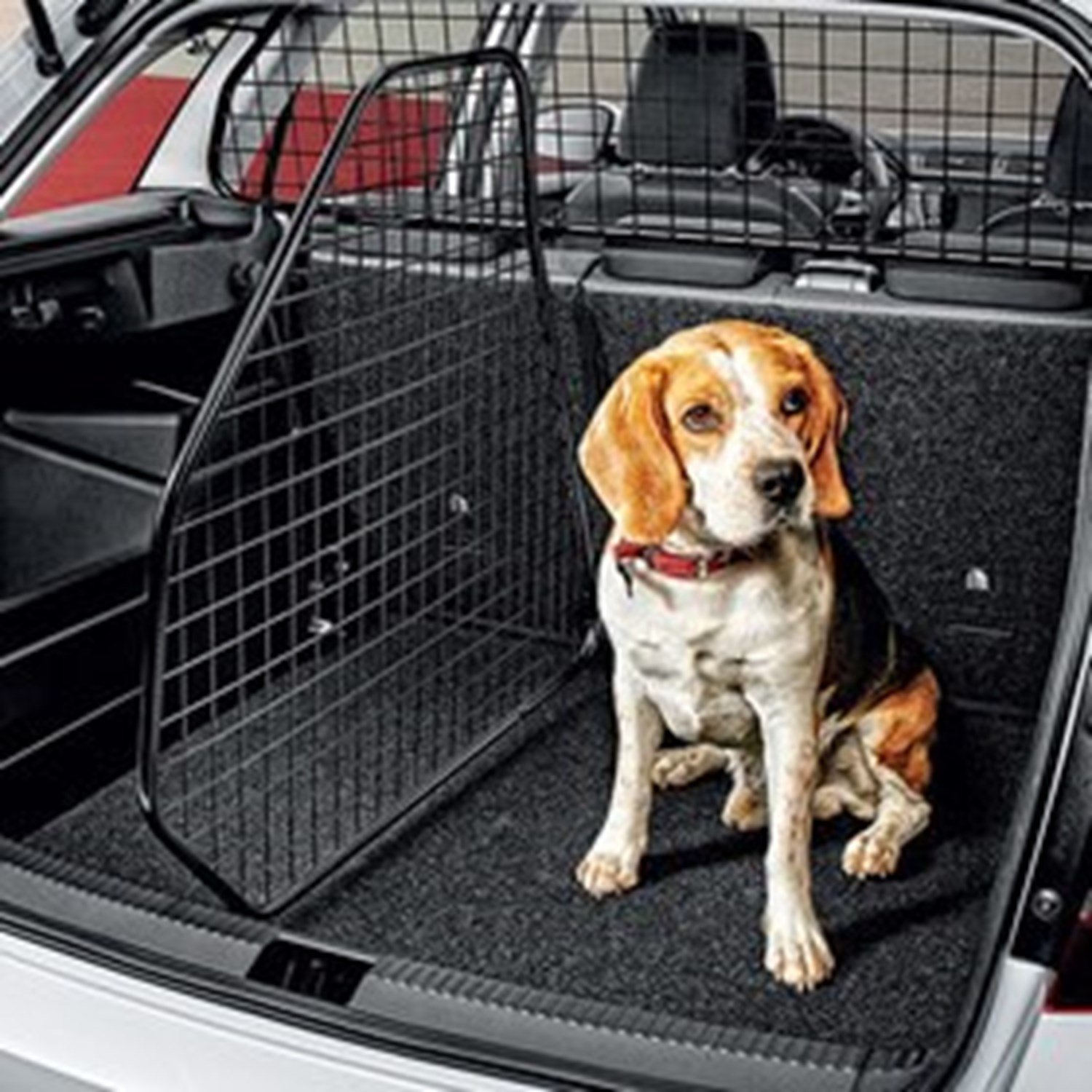 Dog Guard In The Back Of a SKODA