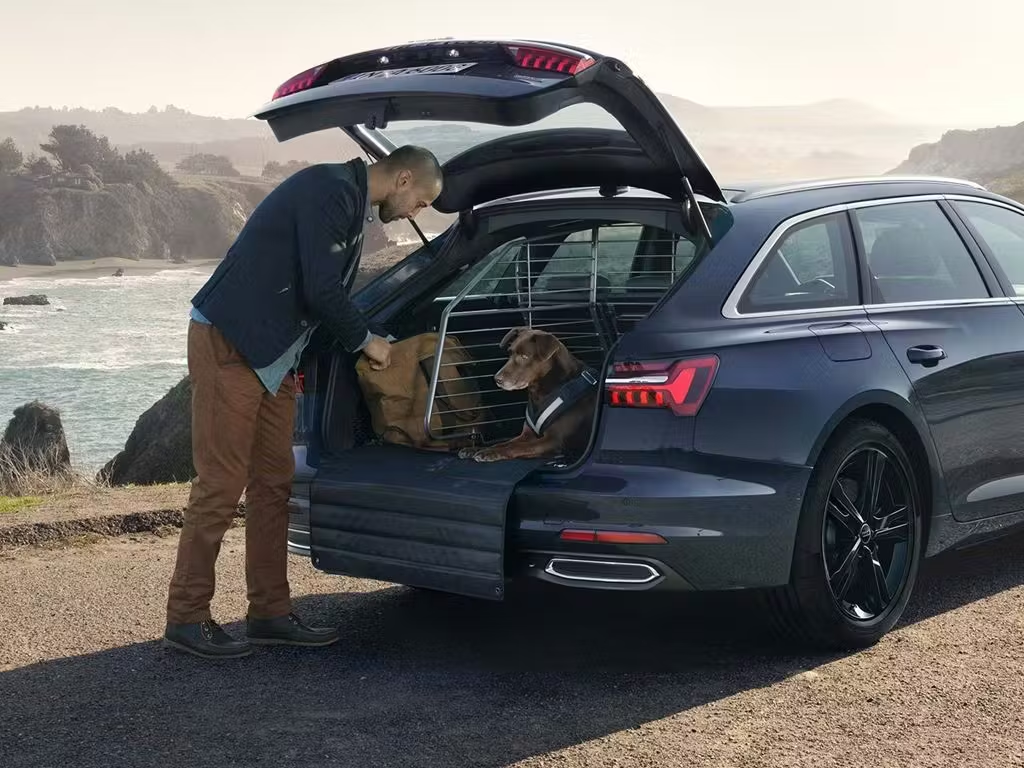 Audi A6 Avant Boot With A Dog In It