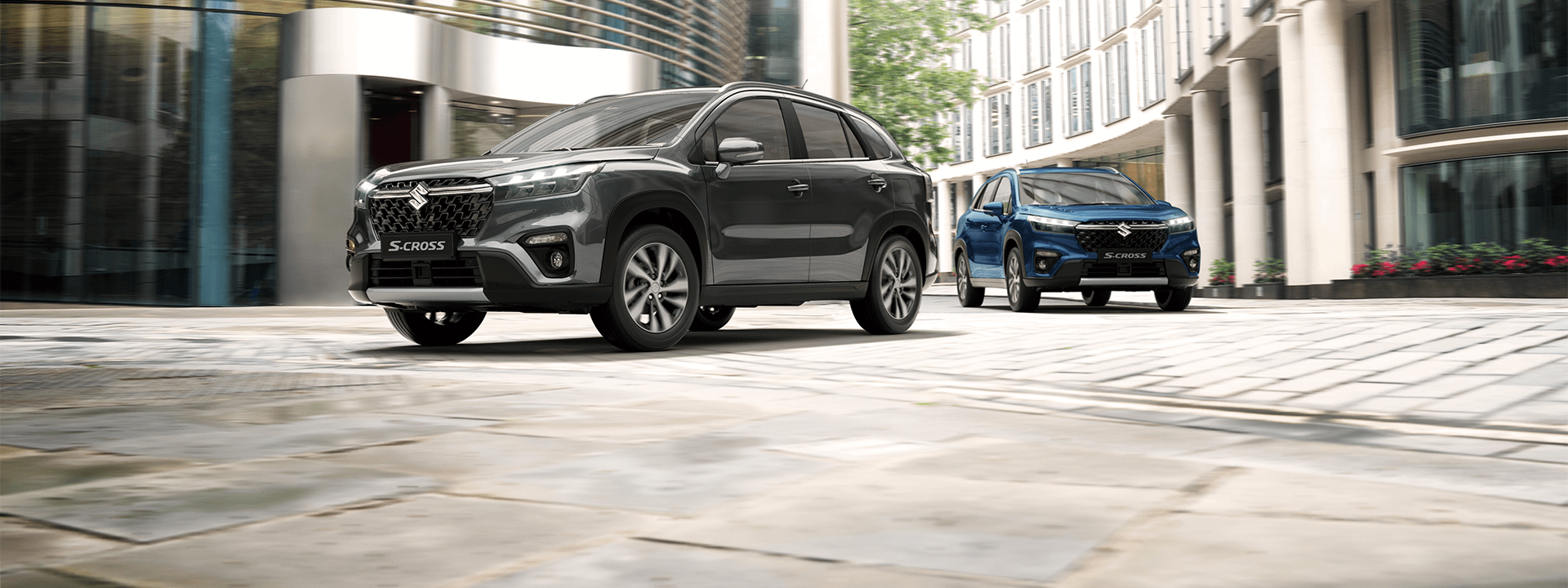 New Suzuki Car Range Explored: Models, Trims, Features, Powertrains & Lots More