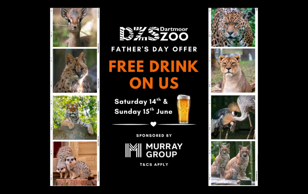 Father's Day: Dads get a FREE drink at Dartmoor Zoo