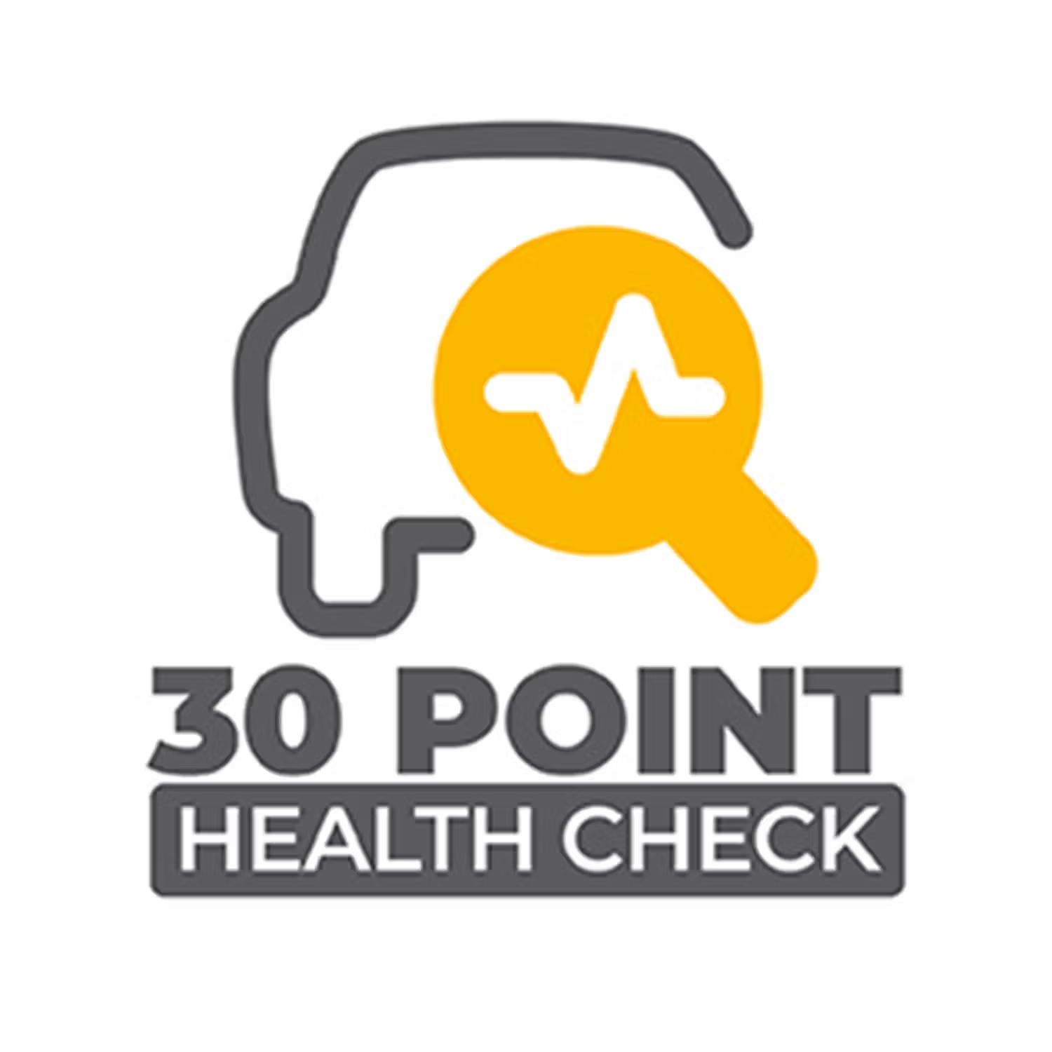 icon of a car with text for a 30 point health check