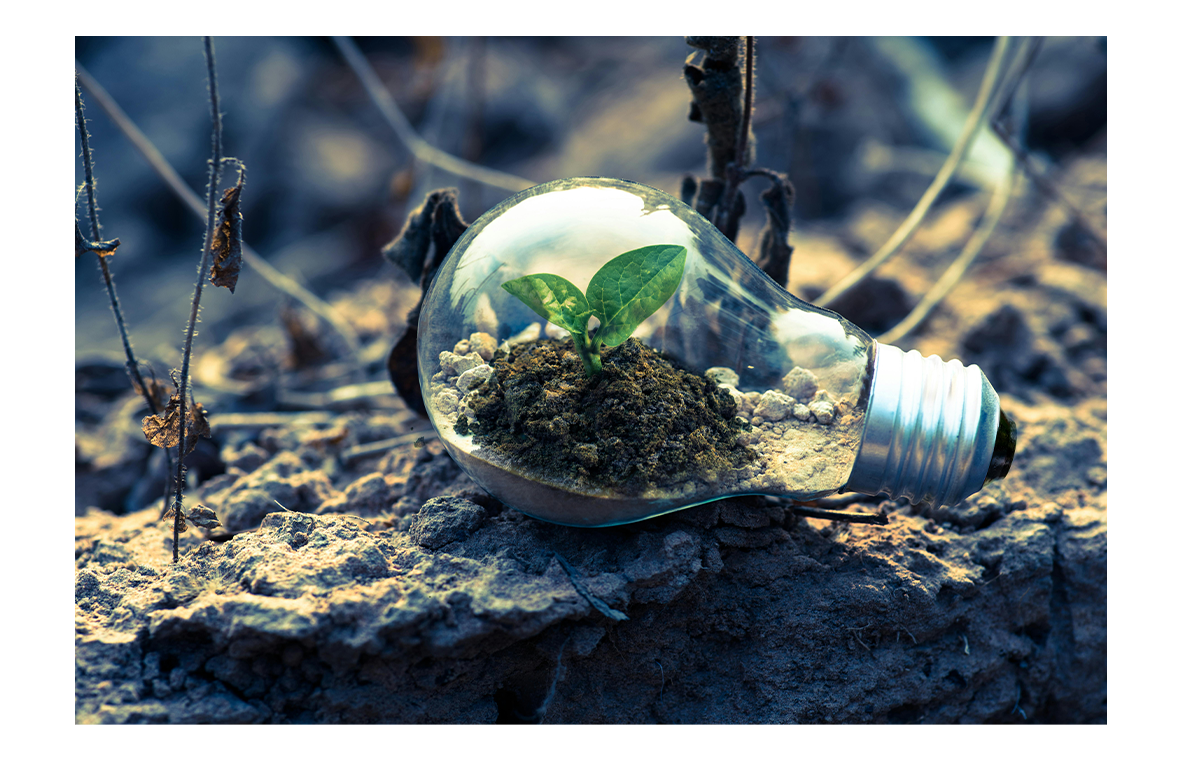 lightbulb