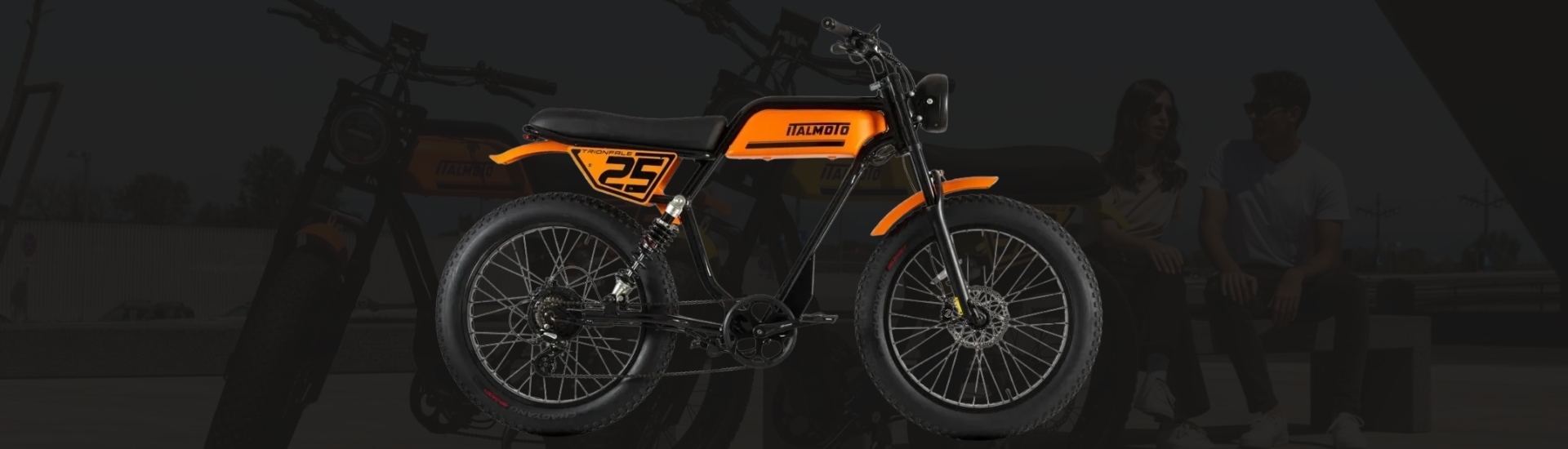 _cogCmsNewBikeModel.Title
