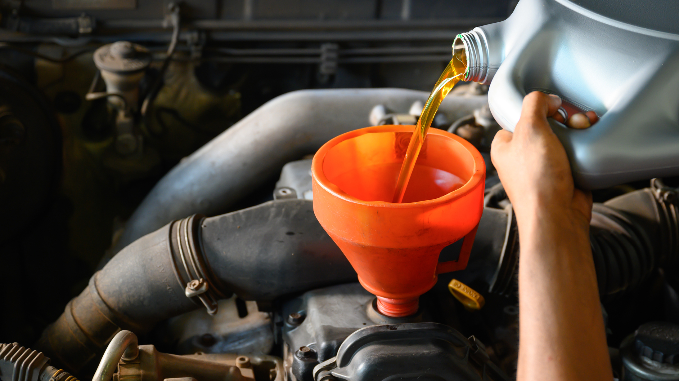 Oil poured into engine