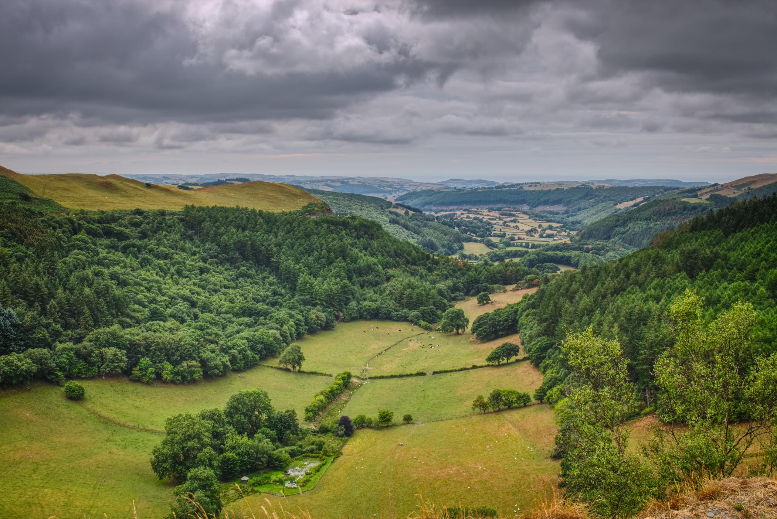 Bwlch Nant yr Arian Forest, Mid Wales