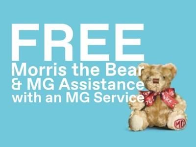 Free Morris The Bear