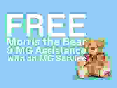 Free Morris The Bear