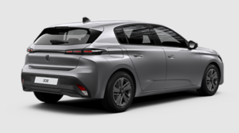 308 active rear