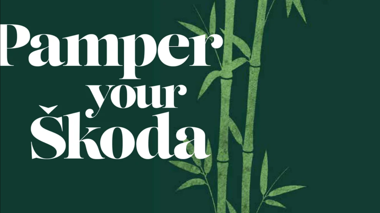 Pamper Your SKODA