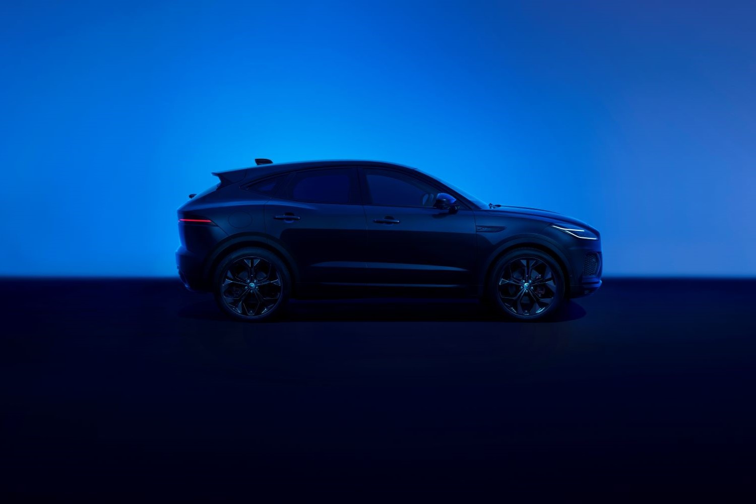 Jaguar Vehicle Side View