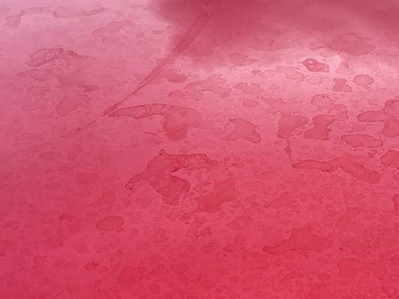 Supagard exterior paint protection